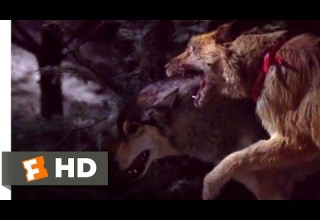 Look Who S Talking Now 1993 Dog Vs Wolf Scene 9 10 Movieclips