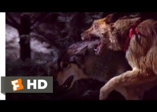 Look Who S Talking Now 1993 Dog Vs Wolf Scene 9 10 Movieclips