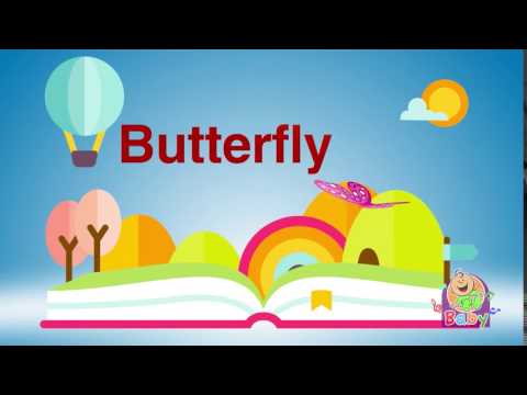 كلمات عربي إنجليزي فراشة طيور بيبي