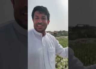سماد الدواجن المركب السحري والمزارع موسى السالم