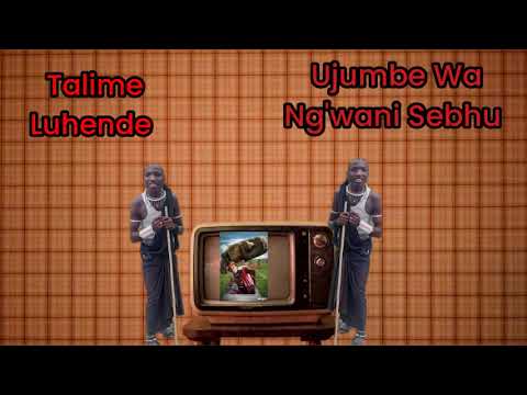 TALIME LUHENDE UJUMBE WA NG WANI SUBHU MBASHA STUDIO