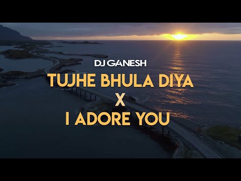 Adore You X Tujhe Bhula Diya Afro Bollywood Mashup Vishal Shekhar DJ Ganesh Anjaana Anjaani Adore You X Tujhe Bhula Diya Afro Bollywood Mashup Vishal Shekhar DJ Ganesh Anjaana Anjaani