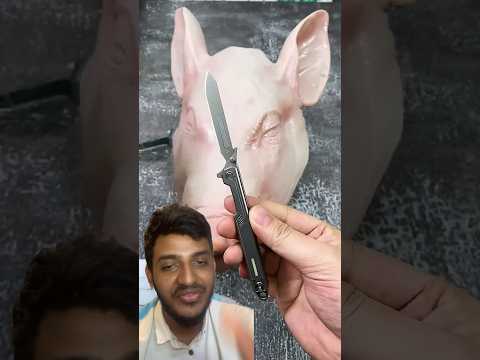 سكين بنفس الوقت موس اقوة سكين في العالم