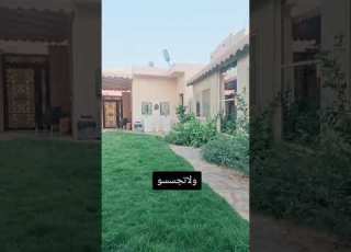  ولاتجسسو