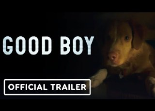 Good Boy Official Final Trailer 2025 Shane Jensen Arielle Friedman Larry Fessenden