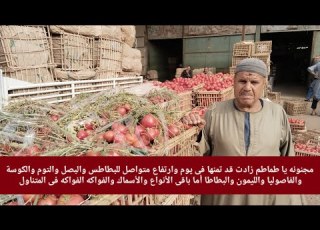 مجنونه يا طماطم زادت قد تمنها فى يوم وارتفاع متواصل للبطاطس والبصل والتوم والكوسة والفاصوليا واليمون