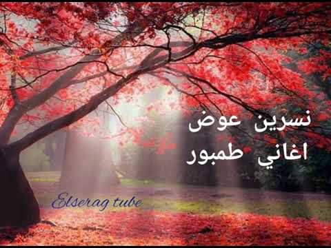 نسرين عوض اكتب ليك افتكرتك