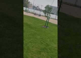 حالات واتس اب احلى واحدة