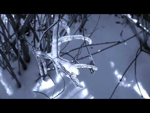 Mendi Keith Obadike The Longest Night