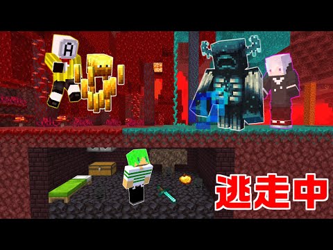 マインクラフト 倒したモブに変身できる世界で 逃走中 をしたらエンドラ倒せんじゃね いんく