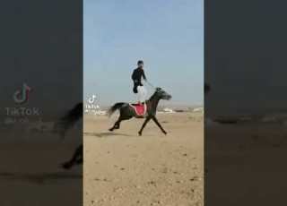  وين الشباب