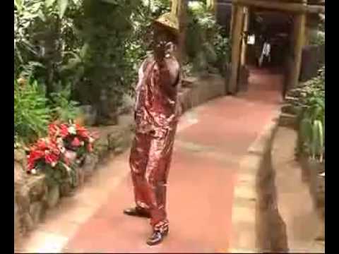 YouTube Wewe Ni Useless Flv