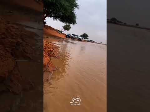 شوقتني نصوب في قنوف الغمام شعر قصيد