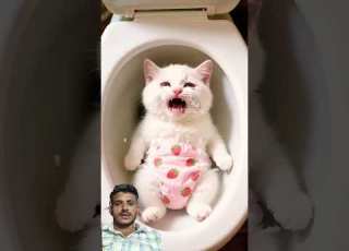 Billi Aur Baby Billi Billa Cat Animals Ai Shortsviral Short