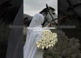 Allah Knows Don T Lose Hope Allahu Ya Alam Nasheed
