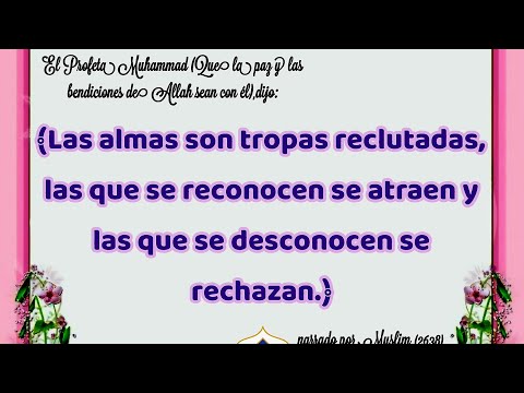 الأرواح جند مجندة Las Almas Son Tropas Reclutados ذكر الله RecuerdaAllah نور الإسلام LuzDelIslam الأرواح جند مجندة Las Almas Son Tropas Reclutados ذكر الله RecuerdaAllah نور الإسلام LuzDelIslam