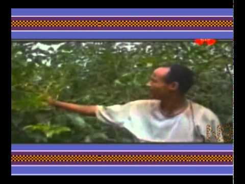 Akliluu Yohaannis Akko Hamama