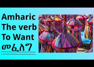 Learn Amharic The Verb To Want Mefeleg መፈለግ