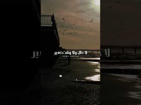 يا دنيا مارينا منك غير شقي ومرار Story حالات واتس Instagram WhatsApp