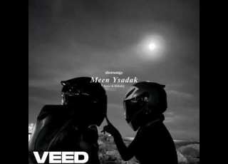 نور و الضبع مين يصدق تضحكي ودوري بطيء صدى صوت