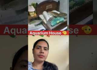 Bedroom Facilities For Fish Too Viralvideo Trending Shortsfeed Ytshorts Fish Yt Laaljor