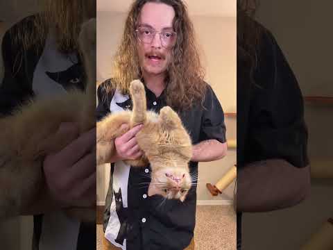 Das War Beängstigend