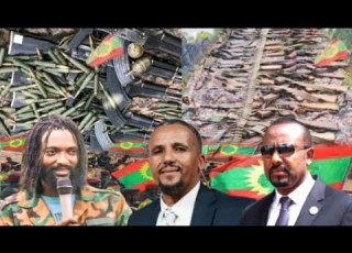 Oduu Guyyaa Har Aa Oolmaa Oromiyaa Jawaar Abiy Siin Ajjeesa Ammee Muddee 31 2024
