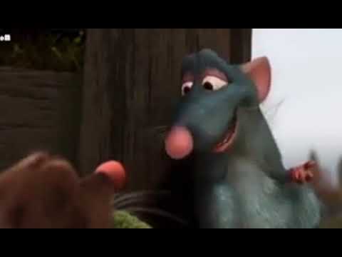 فلم الفار الغ٥وطباخ الجزء الاول مدبلج عربى الجزء الاول رووووعة شاهد بنفسك