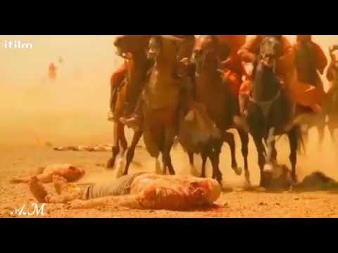 شفتك انيق بطيحتك حته الخيول الداستك