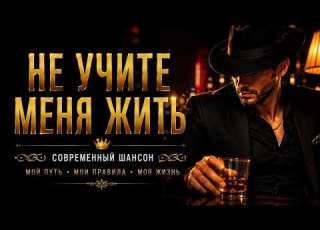 Meloman Zone Не учите меня жить