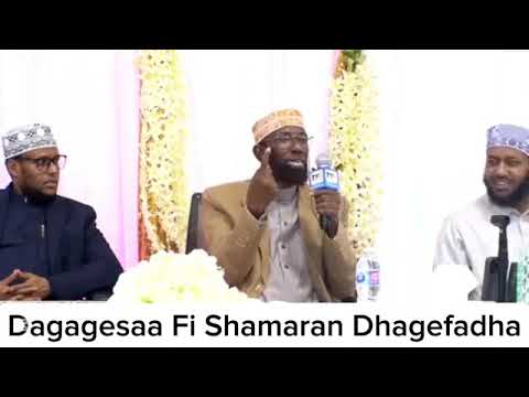 Sheikh Amin Ibro Dawaa Ajaa Iba