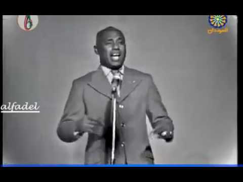 الحبيتا ديك جاهلة غناء محمد حسنين