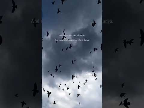 Shukran Laka Rabbi By Ahmed Bukhtair Islam Allahﷻ Muftimenk Quranverses Ramadan