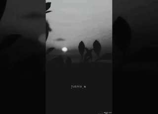 ون حـيـل يكلبي لاتون بهداي لايك ستوريات تصميمي