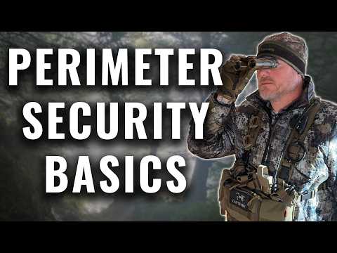 Bug In Security Plan Fortify Your Home And Defend Your Property