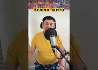 Зелене жито Ой зелене жито Українська пісня Yura Orl Music музика Song українськіпісні