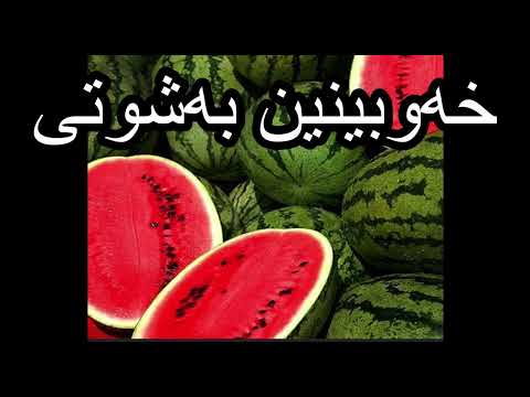 خەوبینین بەشوتی