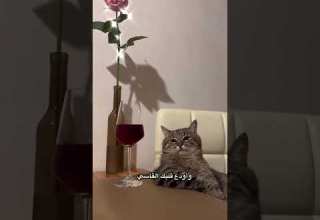 هجرتك يمكن أنسى هواك هجرتك يمكن أنسى هواك