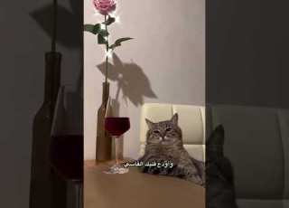 هجرتك يمكن أنسى هواك