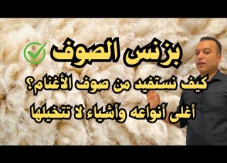بزنس الصوف الذي لا يصدق
