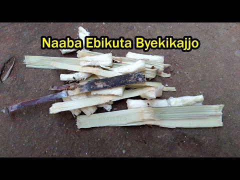 Weyambulure Naaba Ebikuta Byekikajjo Wegobeko Ebisirani