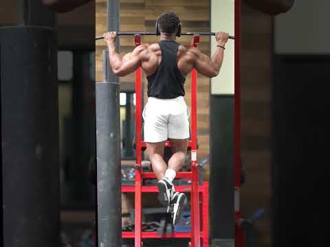 Build Your Back 5 Movements To Build A Wider Back MuscleTech