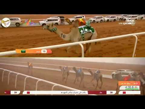 الشوط 3 شقراء لـ فيصل سالم علي الحنزاب 6 27 01 مهرجان الملك عبدالعزيز للهجن 7 2023 1 5 حقايق