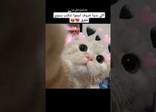  اغنيه حته كريزه ليكي لذه