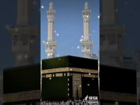 صلوا عليه شفيع الامه في ذكر الرسول تشهد الهمه صلوا عليه شفيع الامه في ذكر الرسول تشهد الهمه