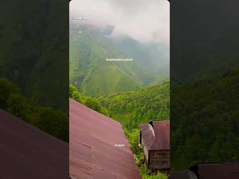 Kaldım Kara Bulut Ardına Shortvideo Edit Müzik Karadeniz Keşfet Lyrics Taşacakbudeniz Fyp