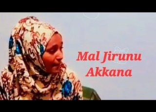 የቡና እና ሚሳ Taatee Bunaa Fi Misaa Jidutii Kiyyaa Fi Hiwota Mudate የቡና እና ሚሳ