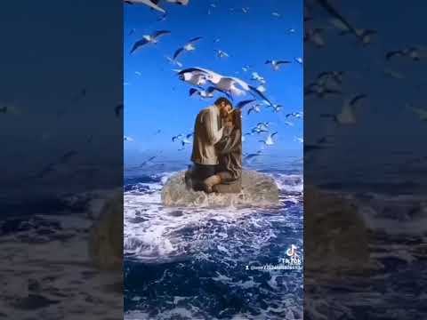 حماده هلال حبيبي ايوا اللي انت حبيبي حماده هلال حبيبي ايوا اللي انت حبيبي