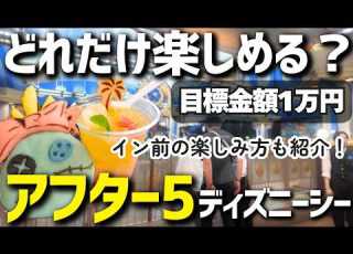  短時間でも楽しめる ぼっちで気ままにディズニーシー アフター5で満喫してきた