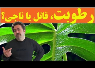  با این ۱۰ ترفند ساده گیاهت رو از خشکی نجلت بده ترفند آخر فوق العاده است